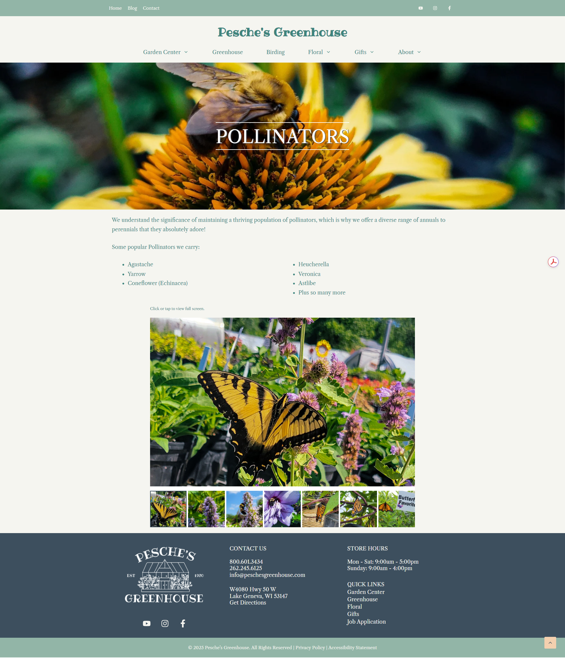 Pollinators-Pesche-s-Greenhouse-web design